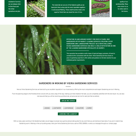 Gardening in Woking: Gardening in Woking